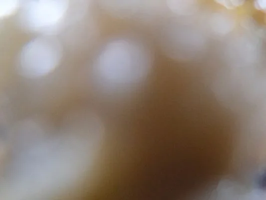 もつが画面のドアップに移り、もはやなにもみえない。