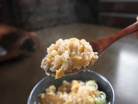 レンゲですくった雑炊。