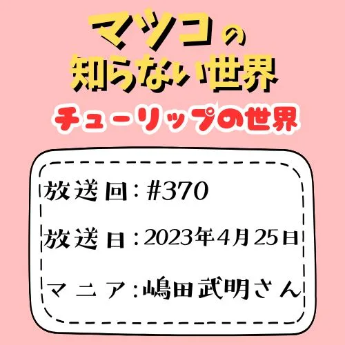 チューリップの世界
放送回：♯370
放送日：2023年4月25日
マニア：嶋田武明さん