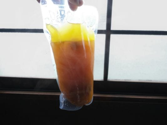 解凍したスープの袋を窓の光にあてると金色できれい。中には鶏肉とキンカンの姿も確認できる。