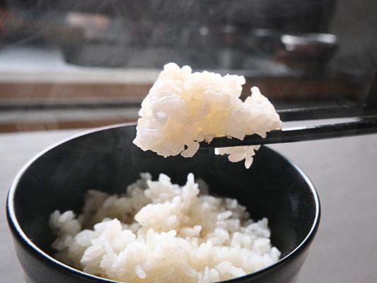 レンチンしたてで湯気がでているご飯