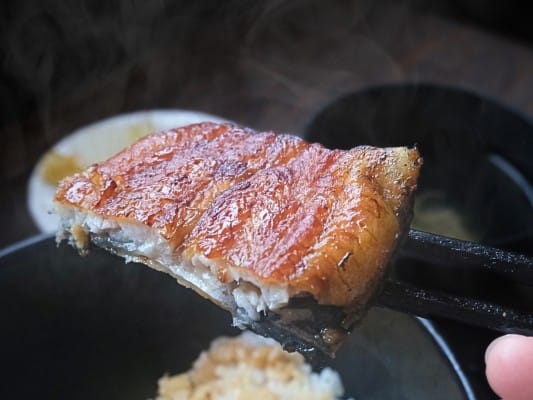 うなぎ処 古賀のお取り寄せ蒲焼「竹」の鰻を箸で持ち上げている