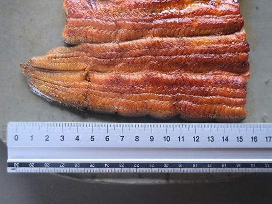 ボイル後の古賀の蒲焼「竹」の長さを計測。