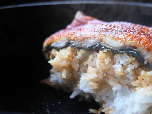 うなぎ処 古賀の蒲焼「竹」の鰻をうなぎ丼にした断面図。うなぎの脂がのっているので身に艶がある