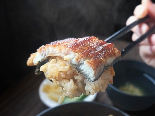 うなぎ処 古賀の蒲焼「竹」のうなぎをご飯と一緒に箸でつまんでいる