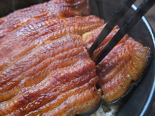 うなぎ処 古賀の蒲焼「竹」の鰻を簡単に箸で切ったところ