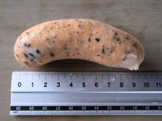 レモンハーブの長さを定規で測っている様子。長さは約10cm。