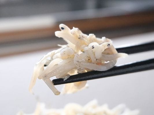 山梨罐詰の静岡釜揚しらす缶詰のしらすを箸でつまんでいる。