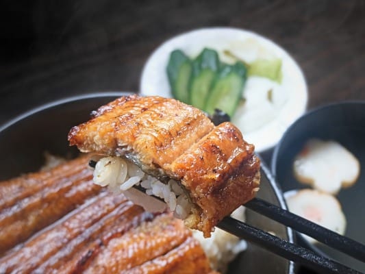 うなぎ四代目 菊川の一本うなぎをご飯と一緒に箸で持ち上げている。