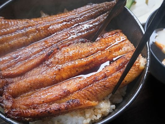 うな丼にしたうなぎ四代目 菊川「一本うなぎ」を箸で切ろうとしている