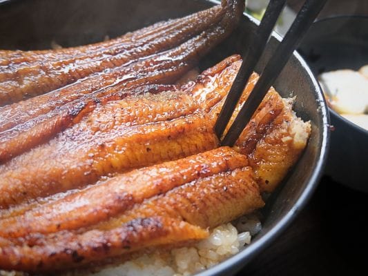 うな丼にしたうなぎ四代目 菊川「一本うなぎ」を箸で切ったあと
