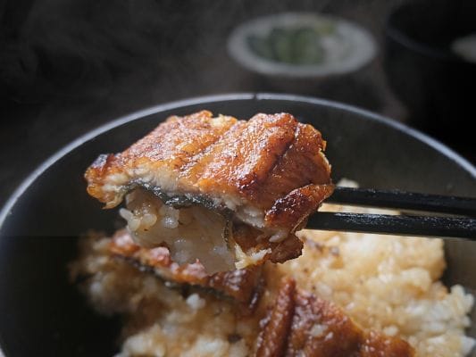 うなぎ四代目 菊川の一本うなぎ蒲焼きをご飯と一緒に箸で持ち上げている
