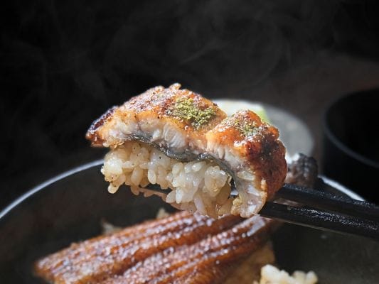 箸で持ち上げたうなぎ四代目 菊川「一本うなぎ」とご飯。うなぎには山椒がほどよくかかっている