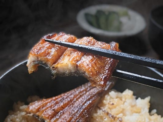 箸で持ち上げたうなぎ四代目 菊川「一本うなぎ」